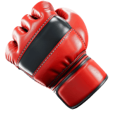 Combat Sports category icon